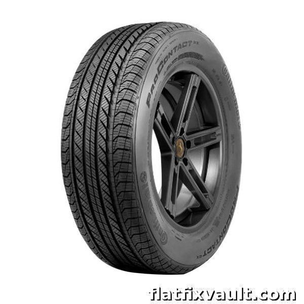 CONTI PRO CONTACT GT A/S 245/45R19 tire
